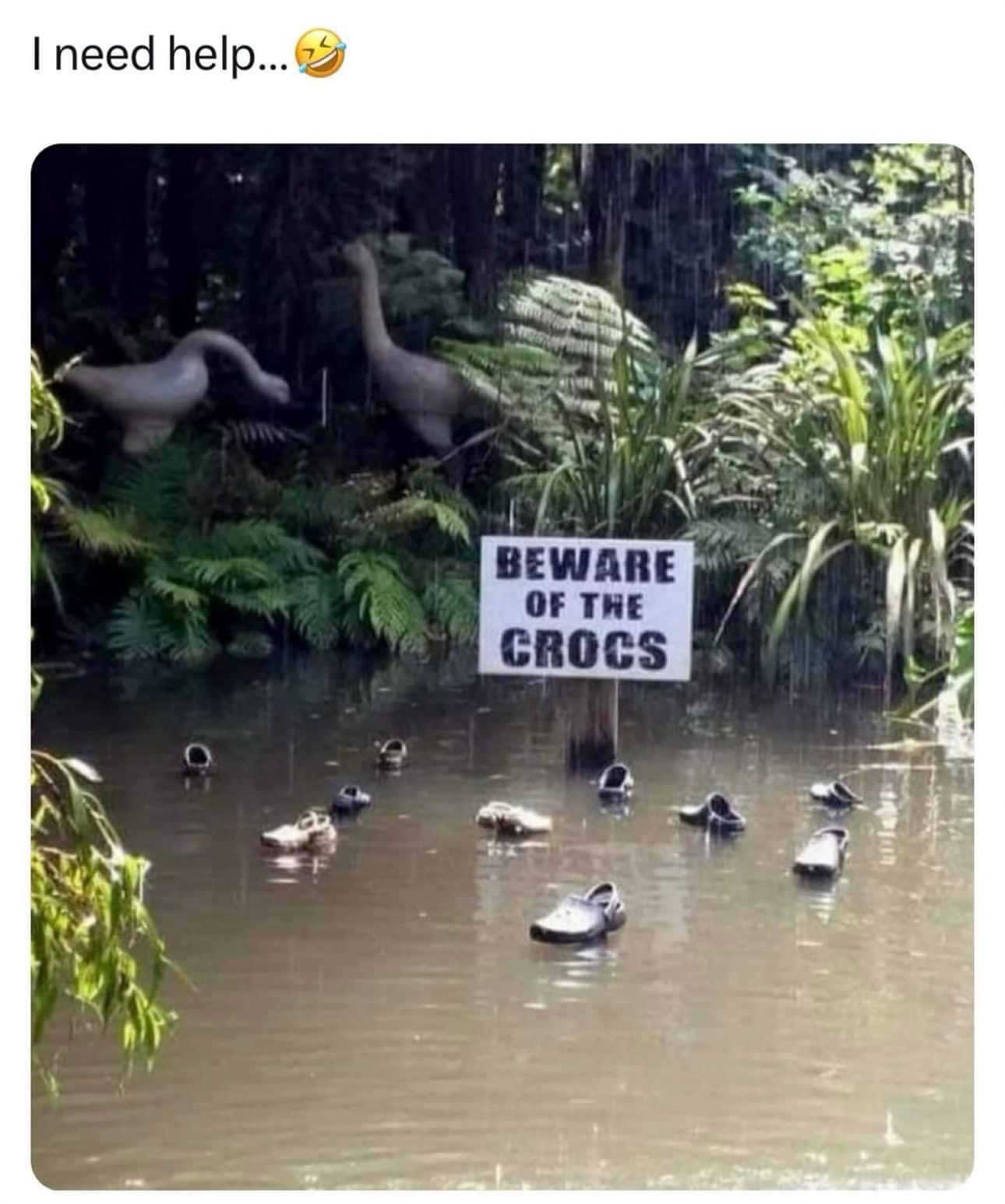 When the sign says 'beware of the crocs' and you see actual crocs floating in the water