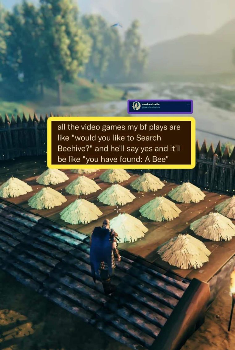 My boyfriend's gaming experience is limited to "Search Beehive?" and then getting "You have found: A Bee"