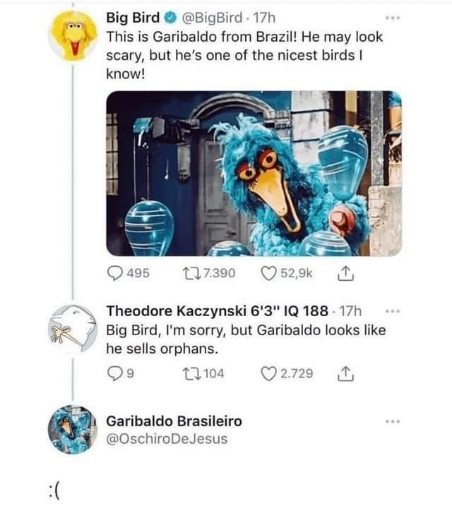 Big Bird's attempt to introduce a 'nice' Brazilian Muppet backfires when someone points out he looks like he sells orphans.
