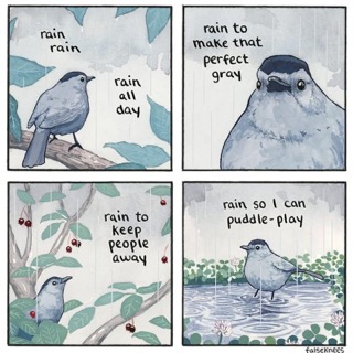 My therapist said I should embrace all parts of myself. So yeah, I'm the bird who loves puddle-play.