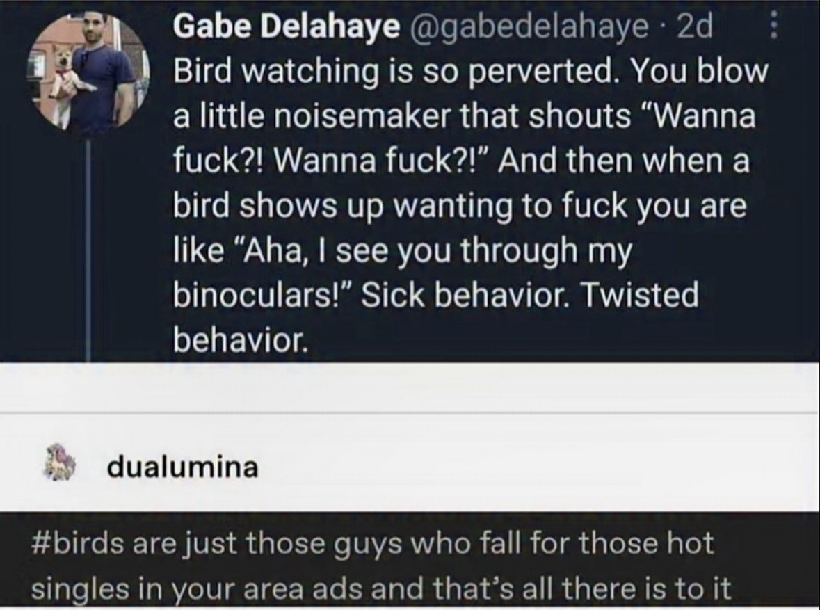 So bird watching is basically just perverted pickup artistry?