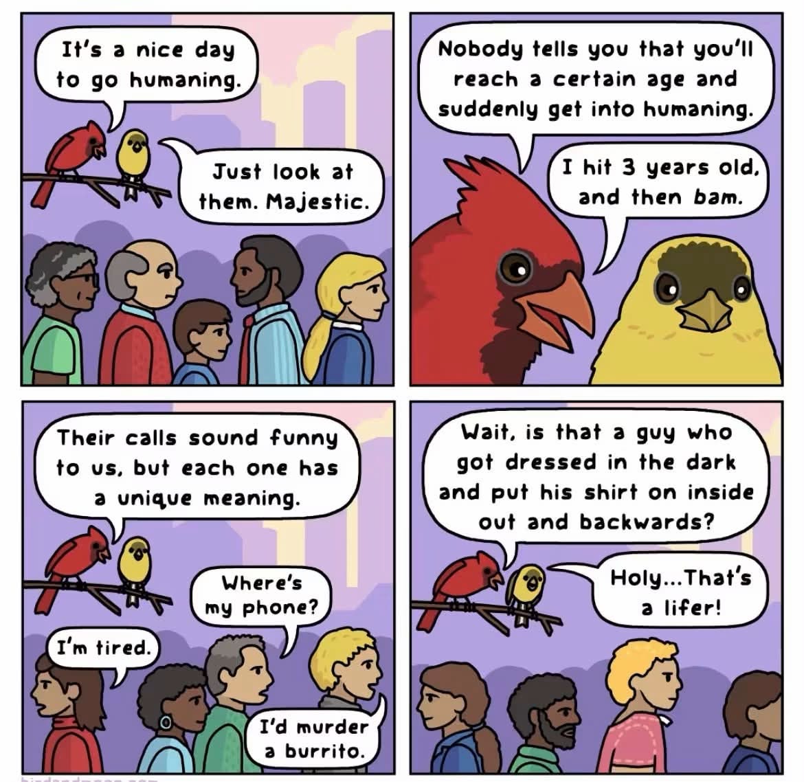 Birds observing humans and realizing we're all just weirdos with our own unique meanings for things.
