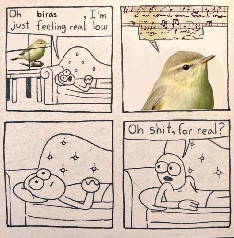 When the bird sings a sad song but you're also feeling sad.
