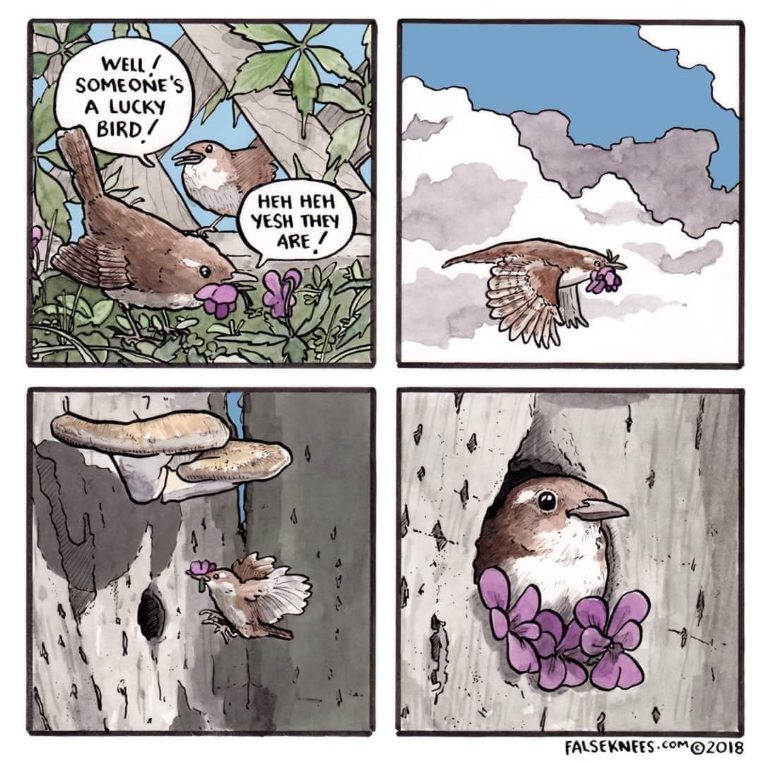 Me thinking I'm slick bringing back a cute little flower for the nest, but it's actually some weird fungus.