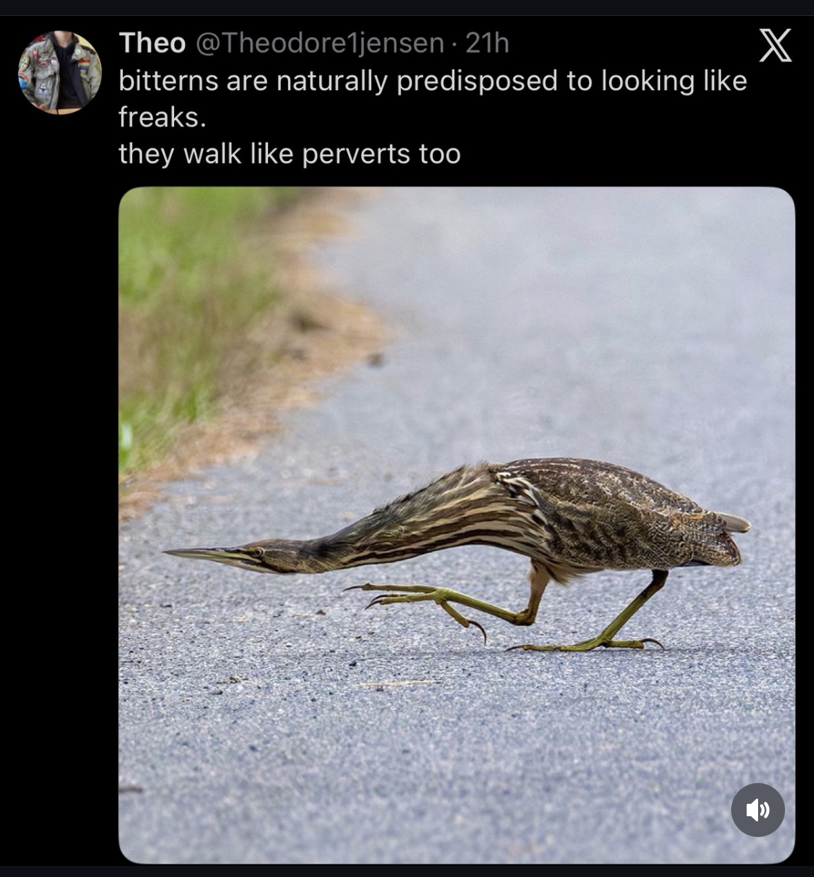 This bird is walkin like he's got a secret and he's about to tell you... or maybe he's just a freak.