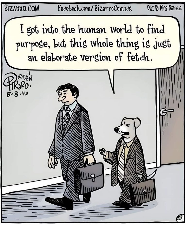 This doggo realized human life is basically just an elaborate fetch game.