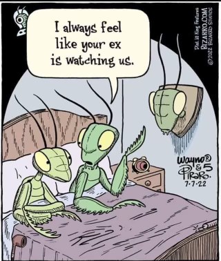 When your partner has a mounted head of their ex next to the bed... awkward.