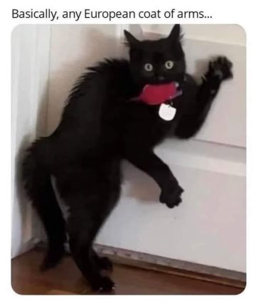 My cat looking like a medieval heraldry symbol rn