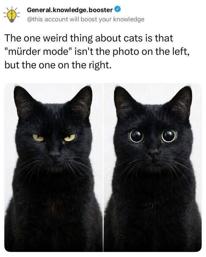 When you see the food bowl is empty but also when you see it's full.