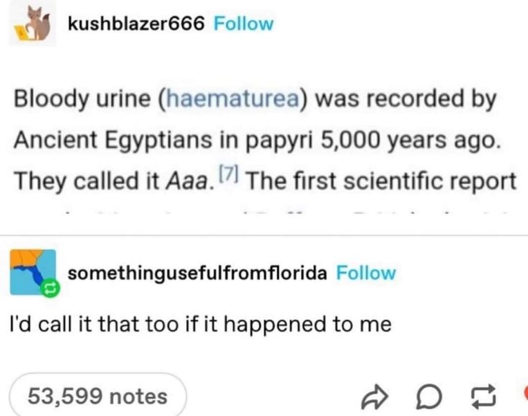 Ancient Egyptians discovered bloody urine and named it 'Aaa.' I mean, same.