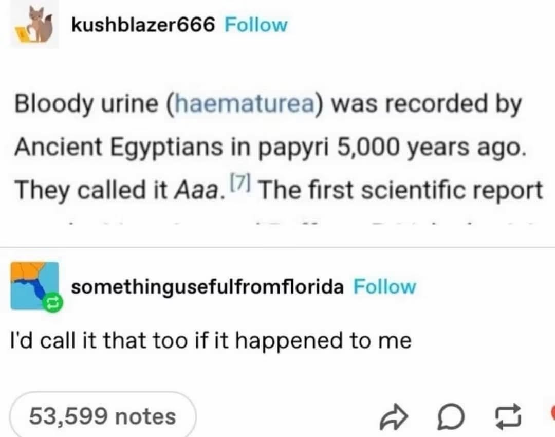 Ancient Egyptians named bloody urine 'Aaa' and honestly same.