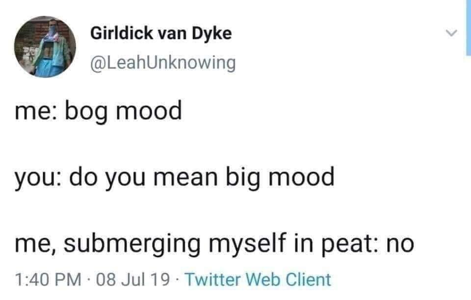 When you say 'bog mood' and someone corrects you to 'big mood' but you're dead serious about wanting to sink into a swamp.