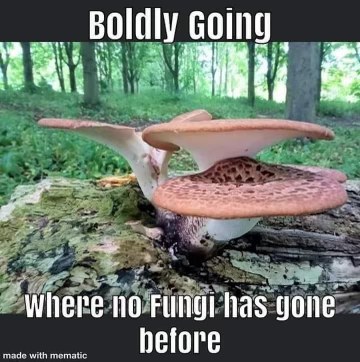 Boldly going where no fungi has gone before. So deep.