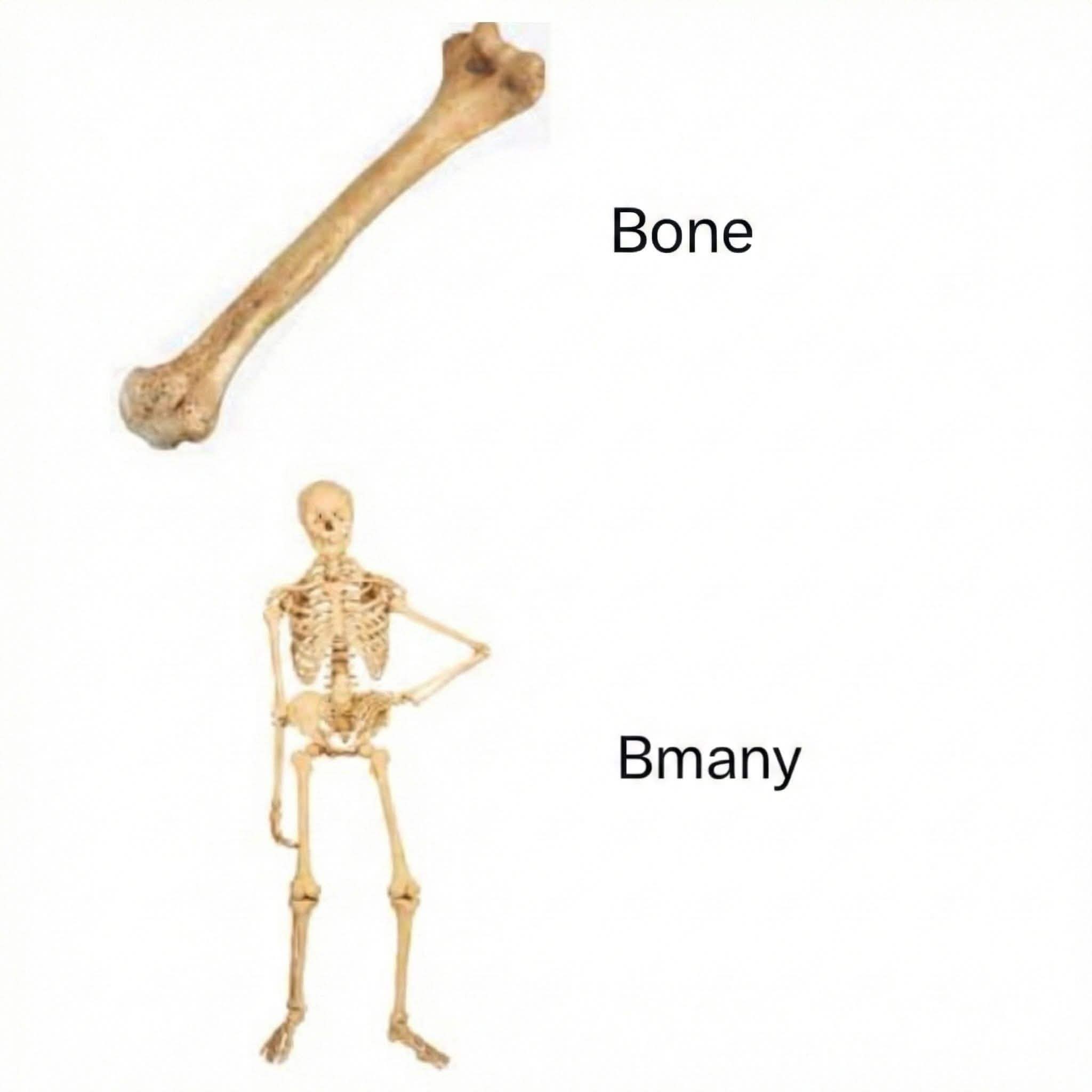 When the bone is sus and you get too many.