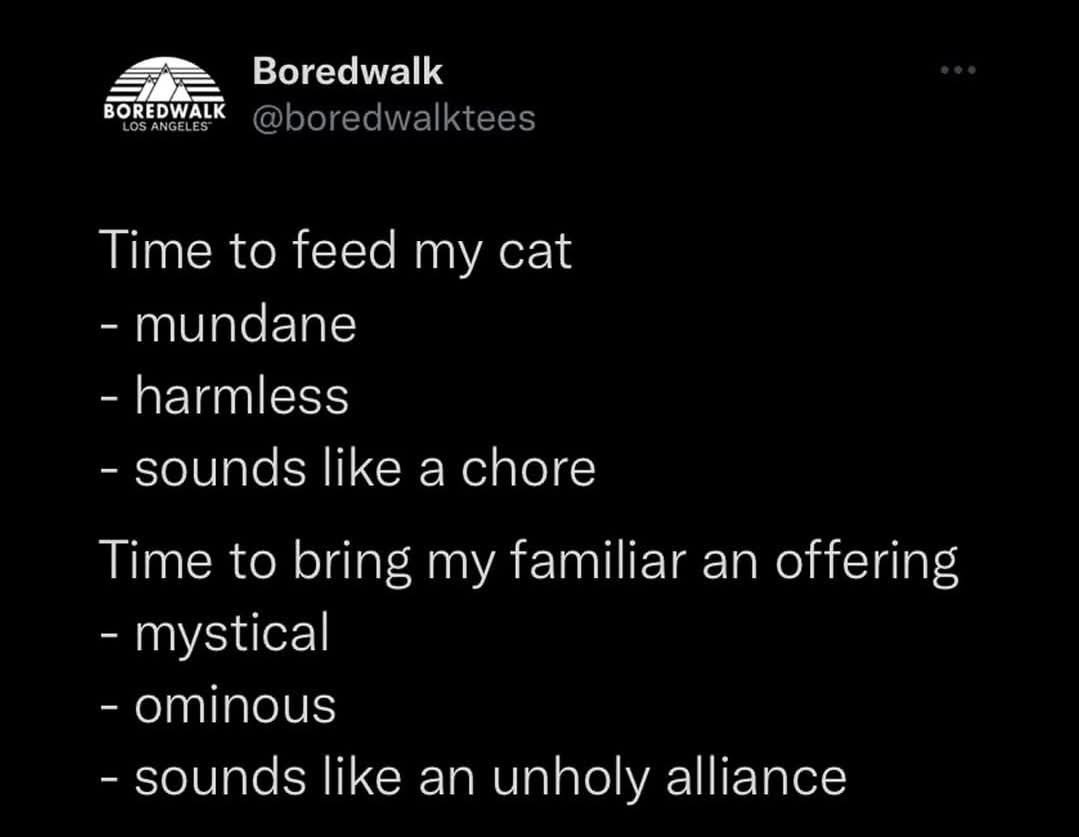 When you reframe feeding your cat as a mystical, ominous ritual instead of just a chore lol