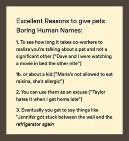 Naming your pet a boring human name is a masterclass in awkward social interactions.
