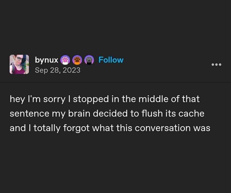 My brain just reset mid-sentence and now I have no idea what we were talking about