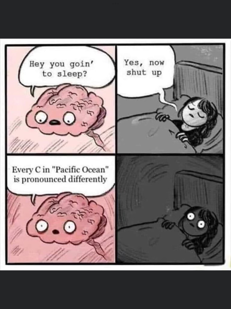 My brain at 3am deciding that the pronunciation of 'Pacific Ocean' is critically important