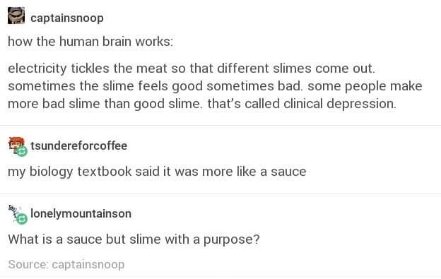 Brain works by electricity tickling the meat making slime, and then someone's biology textbook shows up to call it sauce.