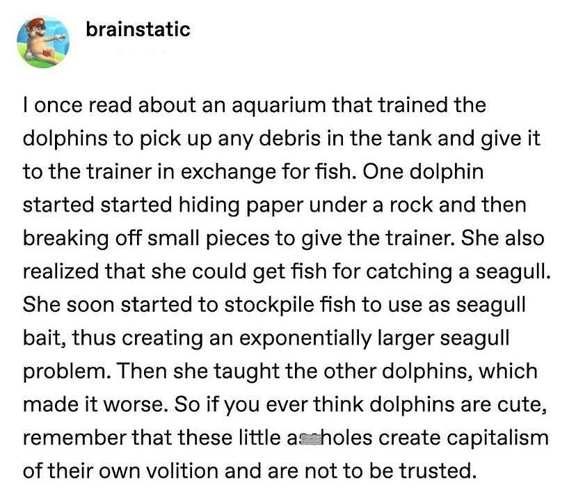 Dolphins out here creating their own capitalism and not to be trusted, lol