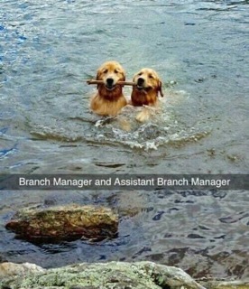When you and your bestie are both getting your degrees and you'll soon be eligible for management positions