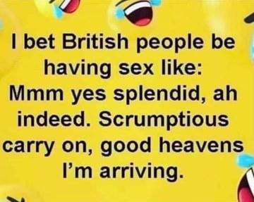 Idk if this is how British people have sex but it's hilarious