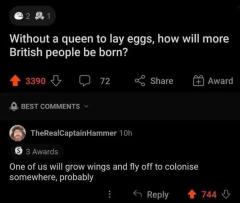 When you're British and the queen dies, so now you have to figure out how to reproduce by flying away and colonizing somewhere else.