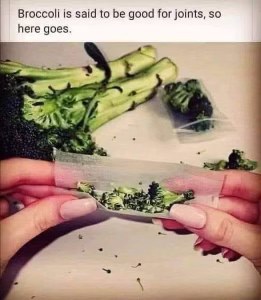Someone heard broccoli is good for joints and took it literally