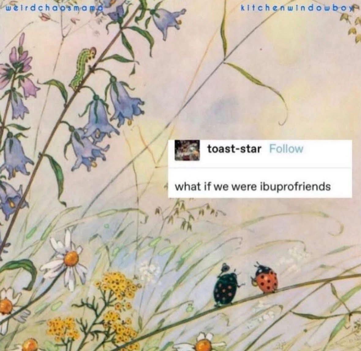 when you're looking for a date but all you can think about is medicine puns