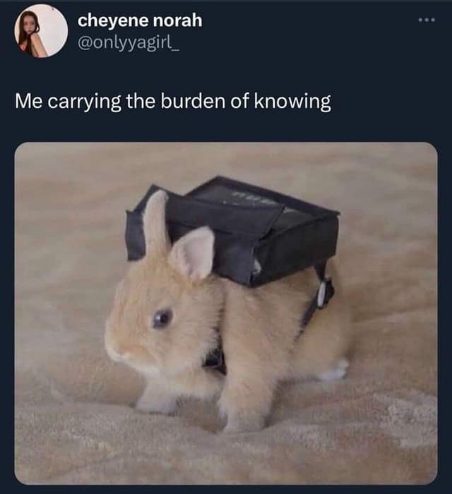 This tiny bunny is really carrying the weight of the world right now, lol