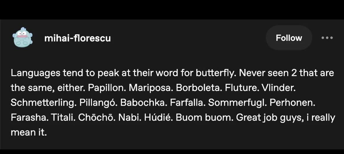 Languages really went off when naming butterflies. Who knew there were so many ways to say fluttery thing?
