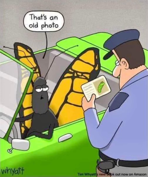 This butterfly is trying to use its old driver's license which is just a picture of it as a caterpillar lol