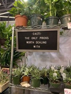 Cacti are the only pricks worth dealing with, apparently.