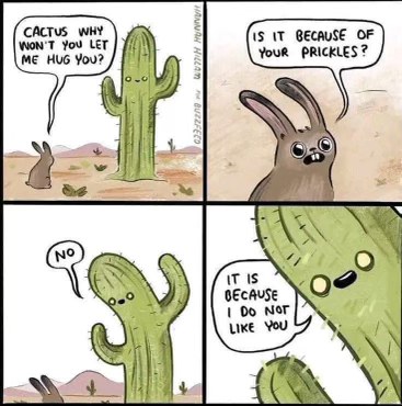 This cactus is so done with the rabbit, it's not even about the prickles, it just doesn't like him lol