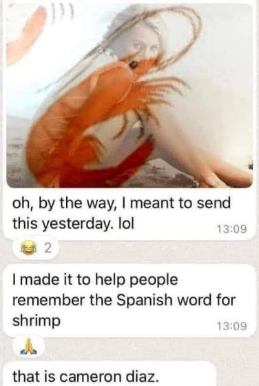 When you try to make a clever Spanish vocabulary mnemonic and accidentally send a picture of Cameron Diaz merged with a shrimp