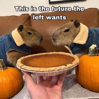 So this is what the left wants? Two capybaras in denim jackets fighting over a pumpkin pie.