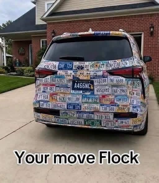 When you absolutely need to flex your extensive license plate collection.