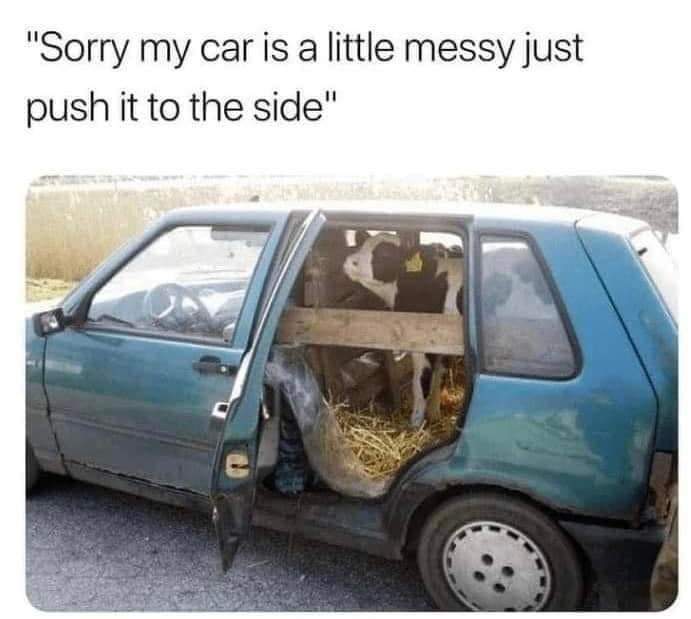 When someone says 'Sorry my car is a little messy just push it to the side' and you see a whole farm inside