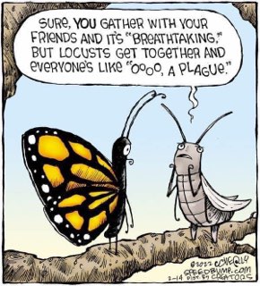 Butterflies can gather and it's beautiful, but when locusts do it it's suddenly a plague.