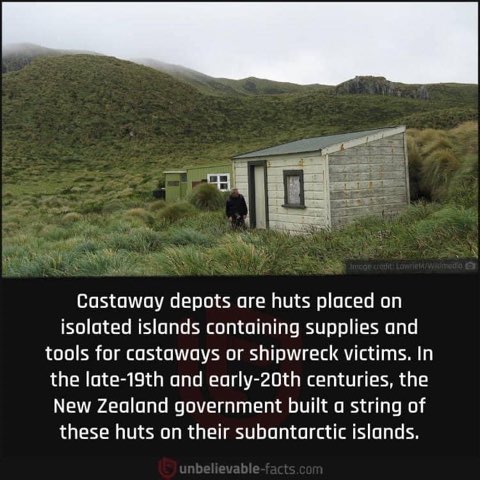 Me tryna find WiFi on a desert island
