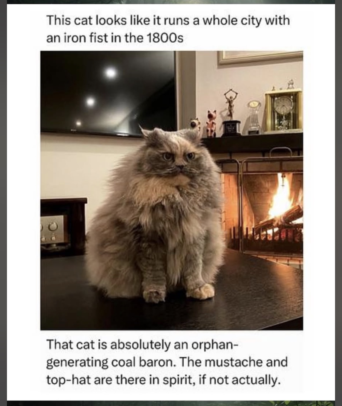 This cat is giving serious 1800s robber baron vibes, you know?