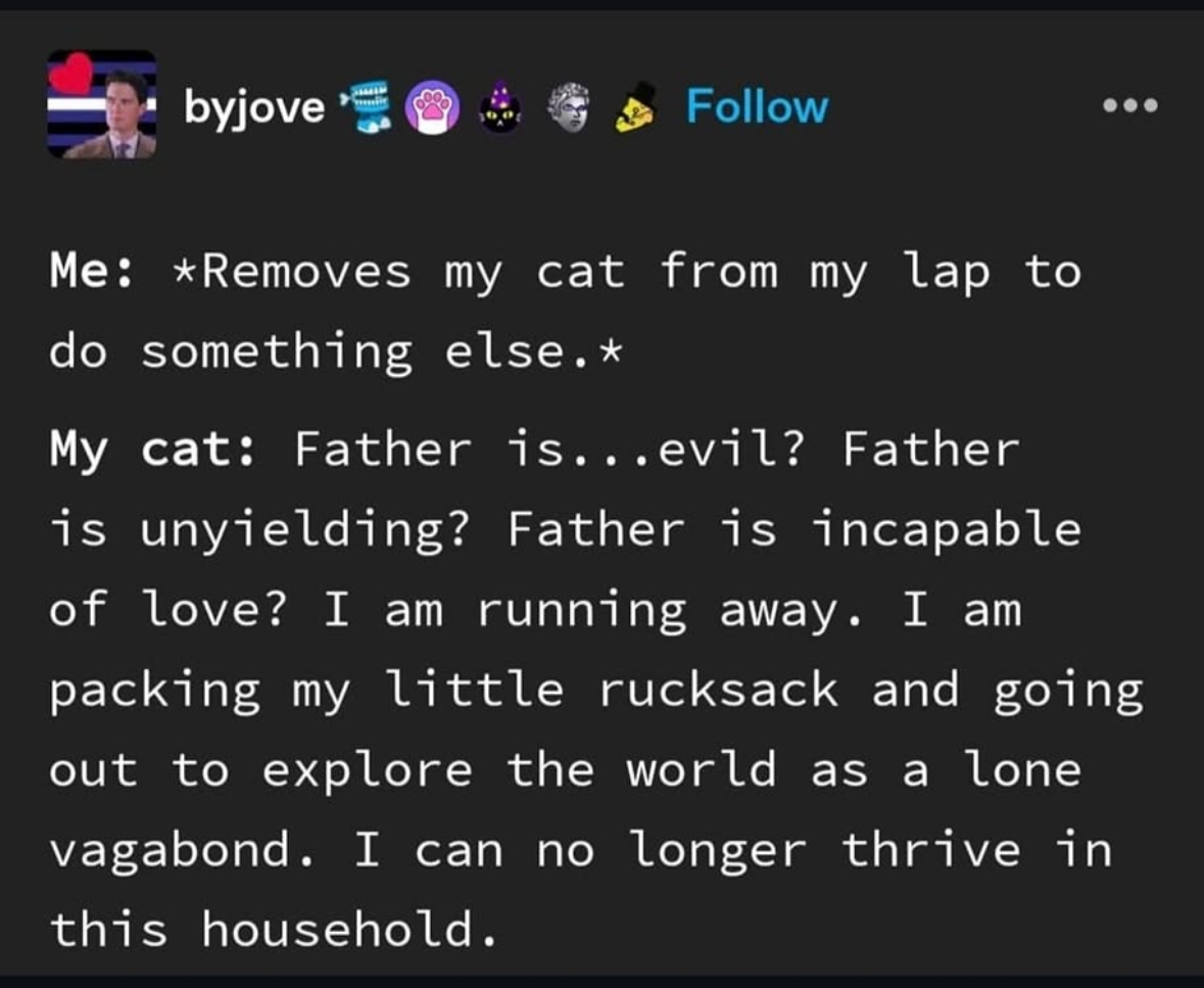 My cat acting like I betrayed him for moving him off my lap