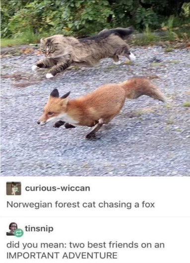 When you thought you were hunting something but it's actually just your friend going on an important adventure with you
