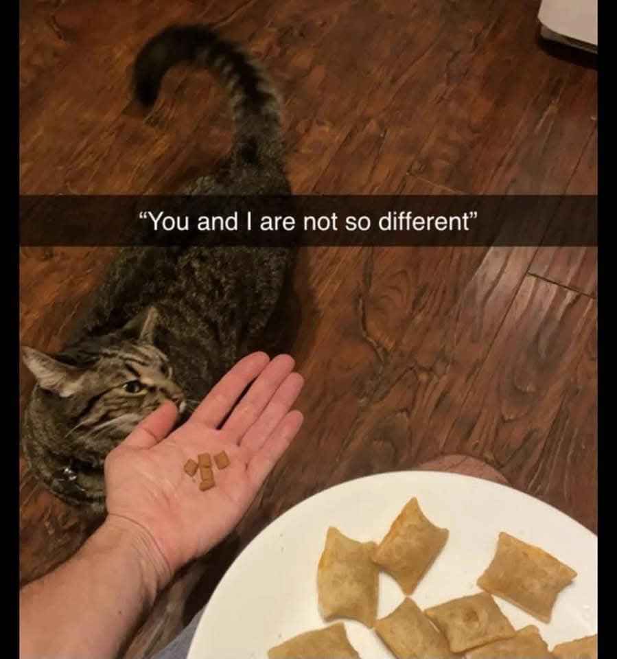 When you're both eyeing the snacks