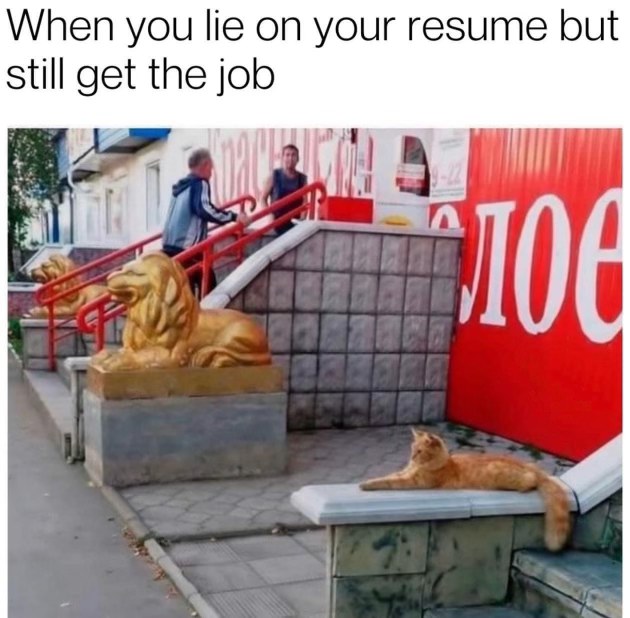Me getting hired after saying I know everything on my resume