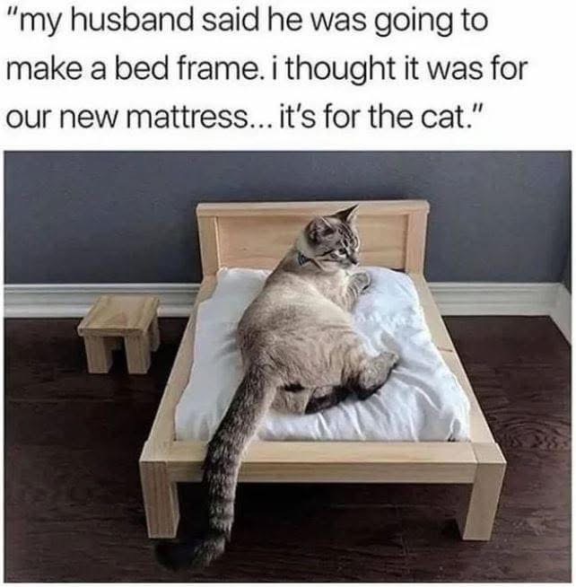 My husband made a bed frame and I thought it was for us, but nope, it's for the cat.