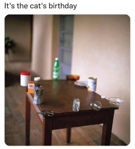 Guess the cat's birthday party didn't quite go as planned. Where's the cake?