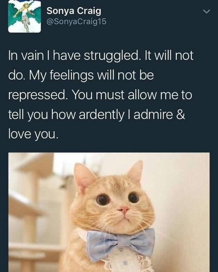 When you're trying to be cool but end up sounding like a Shakespearean poet confessing their love to a cat