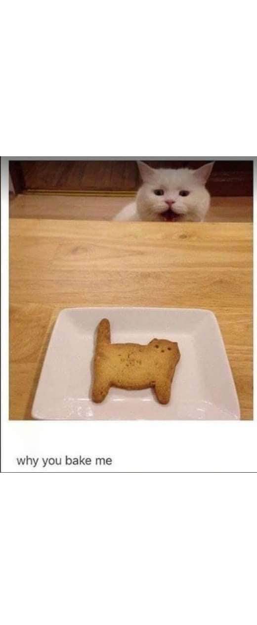 Me thinking about all the times I've been baked into a cat shaped cookie
