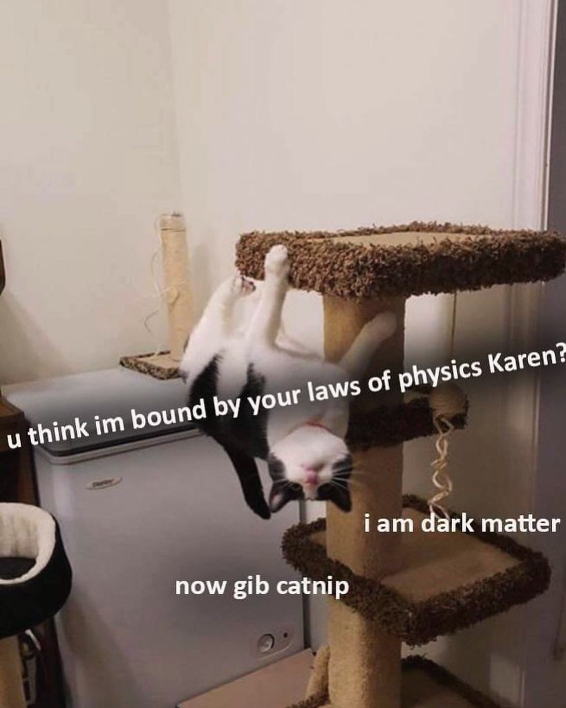 My cat defying physics and demanding catnip, obviously. Some things are beyond science, like cats.